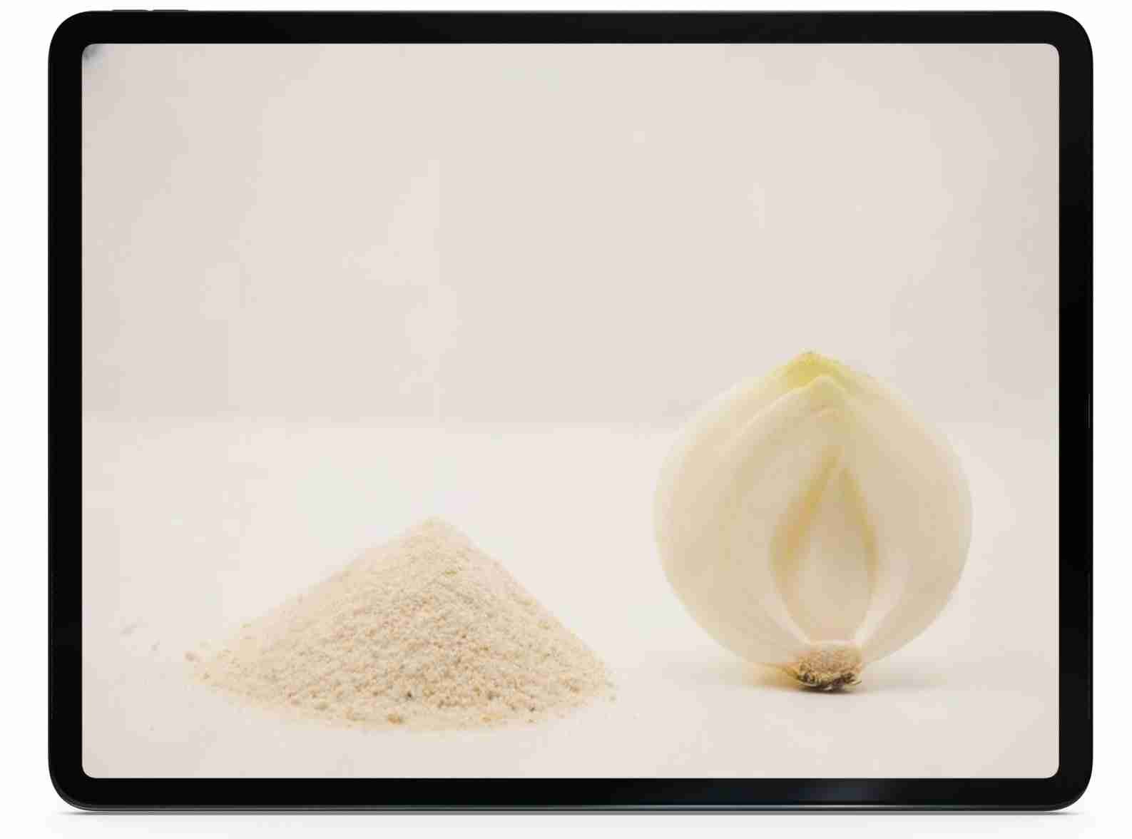 Dehydrated white onion powder.jpg load=